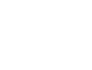 Logo Sanluis WHITE